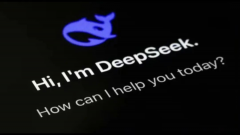 横空出世的DeepSeek，凭什么登顶APP下载排行榜